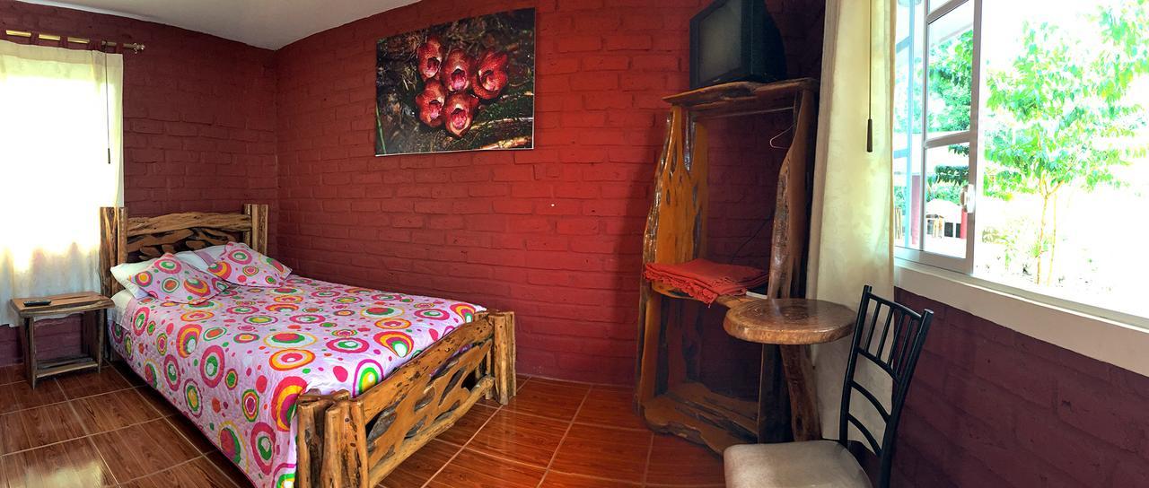 Hosteria Don Elias Puyo Bagian luar foto
